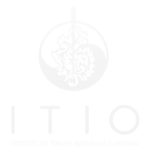 Logo ITIO