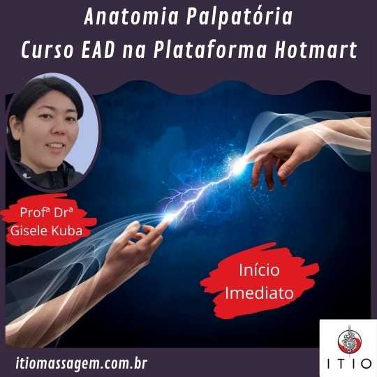 Curso EAD de Anatomia Palpatória Funcional