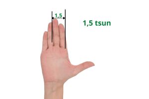 Dor na Coluna e Pontos Jiaji - tsun