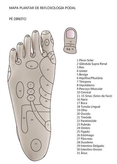 Mapa de Reflexologia dos Pés