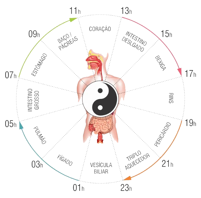 Curso de Alimentos e Dietoterapia segundo a MTC