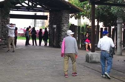 Doença de Alzheimer em idosos